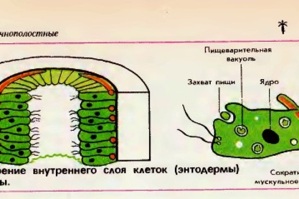 Как зарегистрироваться в кракен в россии