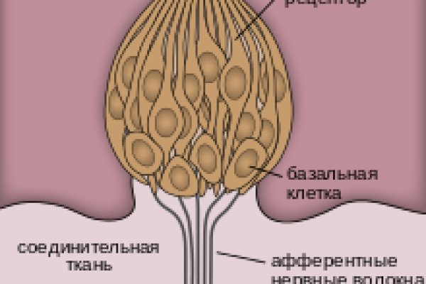 Кракен русский